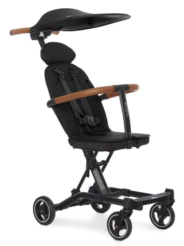Evolur Cruise Rider Stroller with Canopy, Easy to Carry Travel Stroller, Noir Black