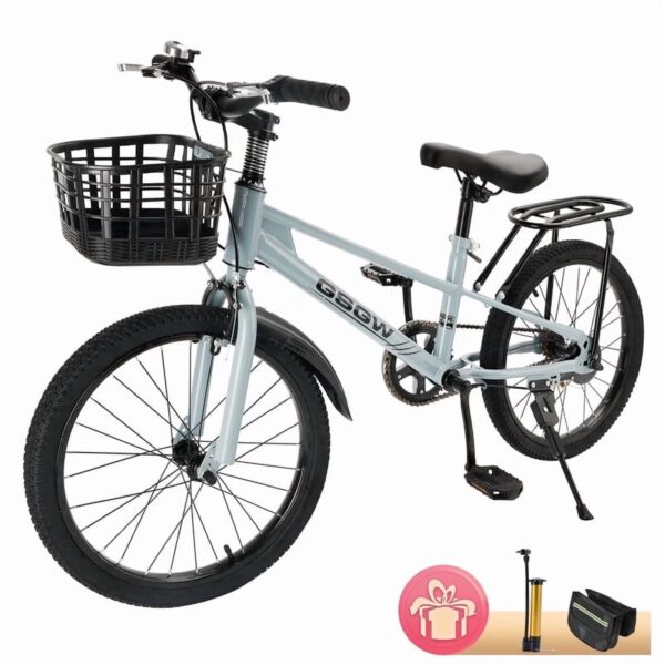 20 Inch Kids Bike, Children's Bicycle For Age 6-12 Years old Girls Boys with Basket, Air Pump and Bike Bag