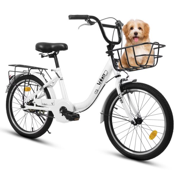 Aukfa 20" Kids Bike,Children's Bicycle with Coaster Brake & Rear Rack & V-Brake,White
