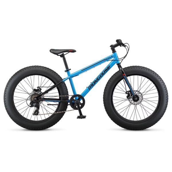 Mongoose Argus ST Fat Mountain Bike, 24- Inch Wheels, 7 Speed, Blue