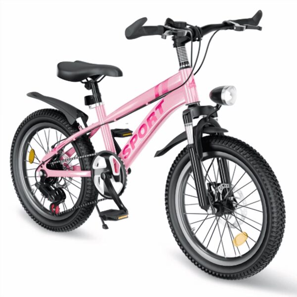RAISTYW 20 inch Kids' Bike, Girls Mountain Bike for Ages 8-12, 7 Speed Dual Disc Brakes Bicycles with LED Light, Pink