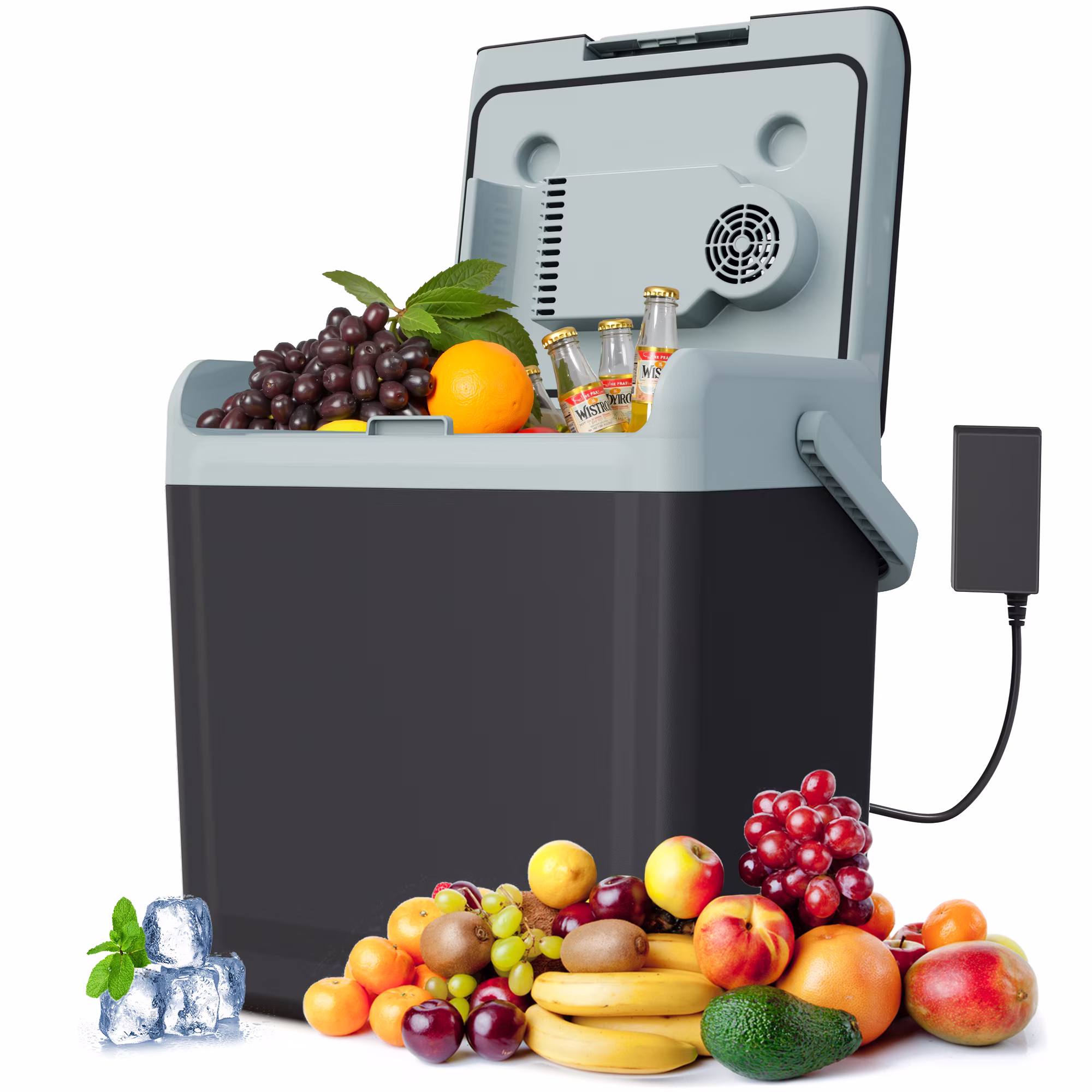 Sunvivi 25QT Portable Electric Cooler & Warmer with Handle – Mini Fridge for Car, Road Trips, Camping, Home, and Office, Black