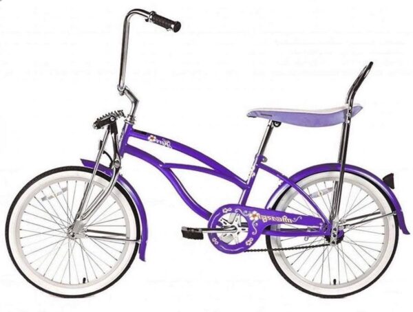 Wonder Wheels Kids 20" Cruiser Bike, Alloy Purple